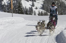 Kandersteg 2013